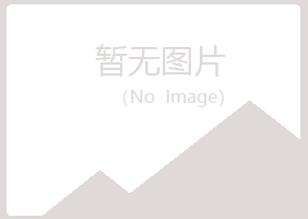 蓝山县凡松音乐有限公司